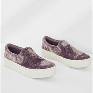 Velvet sneakers